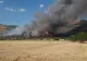 Incendiu URIAȘ în județul Tulcea! Arde pădurea din comuna Greci, localnicii au fost chemați să acorde sprijin - FOTO