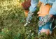 Secretul bunicilor ca să scăpăm de buruieni. Un ingredient banal, pe care oricine îl are în casă, rezolvă problema fără bătăi de cap