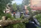 Dezastru în București, zeci de copaci au fost doborâți de furtună, imagini de coșmar - VIDEO/FOTO