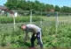Viața fermierilor se simplifică. Sistem meteo inteligent