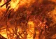 Incendiu de proporții în Argeș: două acoperișuri și trei tone de fân, mistuite de flăcări