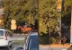VIDEO. Un bărbat călare pe cal a pus pe jar poliția din Focșani. Polițiștii înarmați l-au fugărit printre blocuri pe haiducul modern