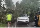 Furtuna a făcut ravagii în Neamț! Copac doborât de vânt peste un autoturism aflat în mers. FOTO