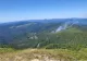 Incendiu masiv într-o fostă exploatare forestieră din Masivul Penteleu! Ard 10 hectare de vegetație 