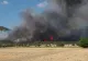 Incendiu devastator, în Tulcea: 80 de hectare de vegetație și pădure au fost făcute scrum. Intervenție contracronometru a pompierilor - VIDEO