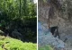 O fostă mină de sare din Maramureș s-a surpat - populația din zonă, evacuată de urgență - VIDEO