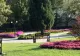 O bacterie extrem de agresivă a dus la defrișarea Parcului Zăvoi, din Râmnicu Vâlcea
