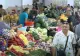 Austeritatea lui Bolojan. Nababii se lăfăie în lux, românii fac foamea VIDEO