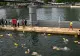 O mare metropolă europeană a dat voie scăldatului în râul care o străbate. Oamenii coboară din casele de lux și merg la ștrandul comunal
