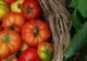 De ce crapă roșiile? Care este cauza și ce trebuie să faci cu cultura de tomate?