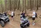 Tânăr plecat în drumeție către Vârful Postăvaru, alergat de urs! Cum a reușit să scape de fiara sălbatică 
