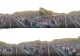 Aglomerație în gara din Costinești! Tinerii au dat buluc, după festivalul de muzică. VIDEO