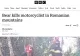 Tragedia motociclistului sfâșiat de urs i-a șocat și pe străini. Ce scriu jurnaliștii britanici despre incident