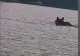 Zile de foc. Urșii au intrat în apă să se scalde lângă pescari