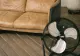 Cum să-ți răcorești casa în doar 3 minute fără aer condiționat: Trucul viral care circulă pe internet