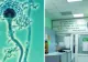 Alertă sanitară! O bacterie extrem de periculoasă, găsită în sala de operație a unui mare spital din țară: rată de mortalitate ridicată  