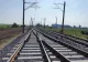 Trafic feroviar blocat în Mureș după ce un copac s-a prăbușit pe calea ferată