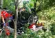 Soț și soție, morți într-un teribil accident, după ce mașina a rămas fără frână. Cei doi se duceau la un parastas
