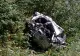 Imaginile dezastrului din Masivul Iezer. Ce spun analizele preliminare despre tragedia în care patru tineri și-au pierdut viața