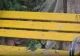 Bănci galbene de 120.000 de lei în comuna fără canalizare. Primarul se mândrește cu investiția