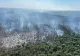 Pompierii continuă misiunea de stingere a incendiului de la Chilia Veche. Au ars 70 de hectare de pădure