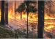 MAE, atenționare de călătorie pentru Franța! Incendiile de vegetație fac prăpăd în Hexagon