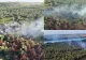 Incendiu masiv de vegetaţie uscată, stuf şi fond forestier în Tulcea! Elicopter Black Hawk, trimis la intervenţie 