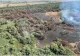 Incendiu de proporții în Delta Dunării. Circa 50 de hectare de vegetație și pădure au fost mistuite de flăcări