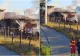 Incendiu de proporții în Vrancea! O femeie de 88 de ani a ajuns la spital cu arsuri, după ce casa i-a fost mistuită de flăcări 