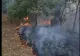 Alertă pe litoral! Arde ca o torță: incendiu de vegetație între Eforie Nord și Eforie Sud - VIDEO