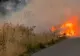 Incendiu masiv în Teleorman: 80 de hectare mistuite de flăcări