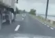 Scenă revoltătoare pe șosea: șofer surprins în timp ce calcă intenționat o lebădă