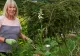 Cum să scapi, în mod natural, de musculițele albe de pe plante. Sfaturi utile pe care trebuie să le urmezi