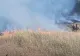 Un nou încendiu de amploare. Ard 40 de hectare de vegetație în Buzău VIDEO