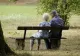 Un pensionar de 75 de ani - pus pe fapte mari! Bărbatul i-a cerut divorțul soției după ce s-a îndrăgostit de o fată generată de AI, în mediul online