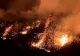 Incendii de proporții în Mehedinți și Giurgiu: peste 100 de hectare afectate, flăcările amenință gospodării și fabrici