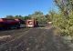 Incendiu devastator într-un sat de lângă București. Ard șapte hectare de vegetație. O casă a fost cuprinsă de flăcări. Nu sunt victime FOTO/VIDEO