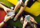 Aplicația care amenință să detronzeze WhatsApp: Funcționează fără internet și schimbă total regulile jocului