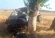 Accident rutier MORTAL pentru un șofer de 18 ani. A intrat cu mașina direct în pom