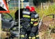 Două femei rănite într-un accident rutier. Mașina a ieșit de pe carosabil