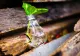 Deșeurile din lemn devin combustibil curat: cum funcționează lanțul de reciclare în România (P)