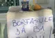 Dorin Cocoș, gest disperat în fața biroului lui "Stelu-banditul": Mi-au arestat copilul ca să recunosc prostiile tale! Cu banii ăștia murdari crezi că o să cumperi pe Dumnezeu?! VIDEO