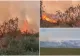 Incendiu puternic de vegetație uscată în Buzău. Peste 15 hectare de teren au fost mistuite de flăcări 