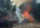 Incendiu de vegetație de proporții în Giurgiu. Opt ore de luptă cu flăcările pentru salvatori