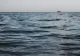 Alertă în Marea Neagră: Bulgaria a descoperit o dronă acvatică la 80 km de Varna