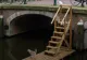 Orașul care a cheltuit peste 100.000 de dolari pe scărițe pentru pisici, ca să nu mai cadă în canale
