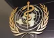 Organizația Mondială a Sănătății și agențiile de sănătate din UE șu UK îl contrazic pe Trump: paracetamolul nu cauzează autism