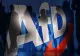 Suveraniștii germani de la AfD conduc pentru prima dată în sondajele de opinie la nivel național