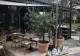 Explozie la un restaurant din centrul Lyonului: trei persoane rănite, două în stare gravă