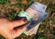 Bani în plus de la stat pentru tinerii între 16 și 30 de ani. Dacă își găsesc de muncă, primesc o primă de stabilitate